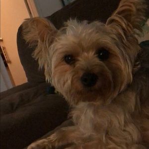 Meet your Posher, Brendann